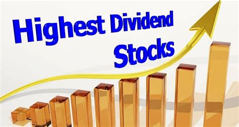 alphabet stock dividend payout